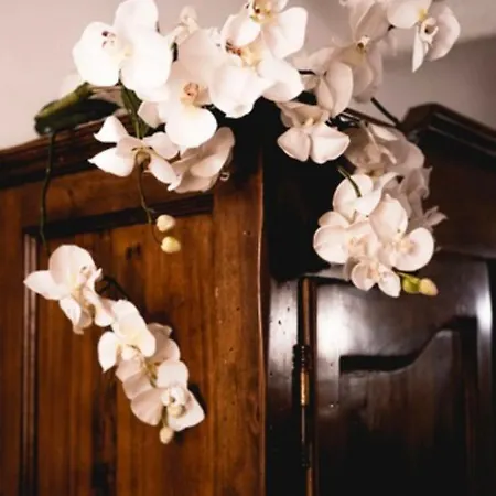 Cinzia Guest house